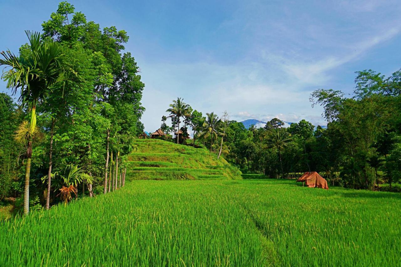 Satu Lingkung Hotel Tetebatu Exterior photo