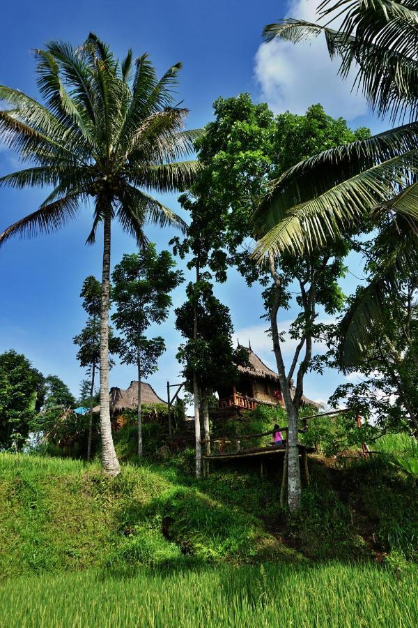 Satu Lingkung Hotel Tetebatu Exterior photo